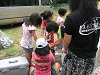 camp24 (521)_samu.gif